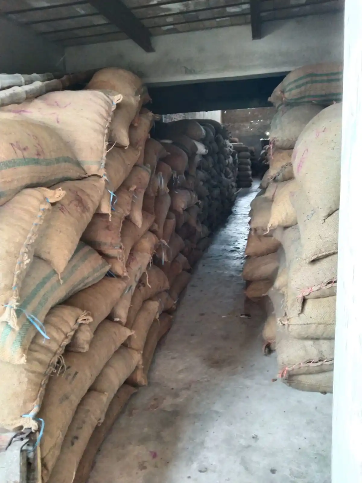  Пакистанские желтые сушеные даты свежий урожай 2021-22 Премиум-качества большой размер RANGKAAT желтая CHUWARA CHUARA категория A