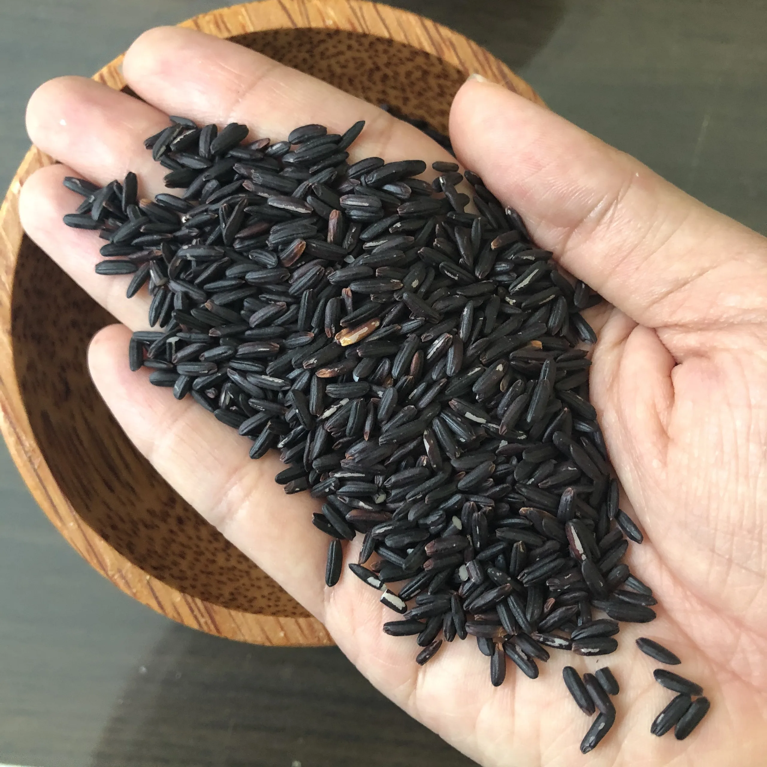 
Vietnam Black Glutinous Rice - Organic Rice - HEalthy Rice Whatsapp +84972 678053 