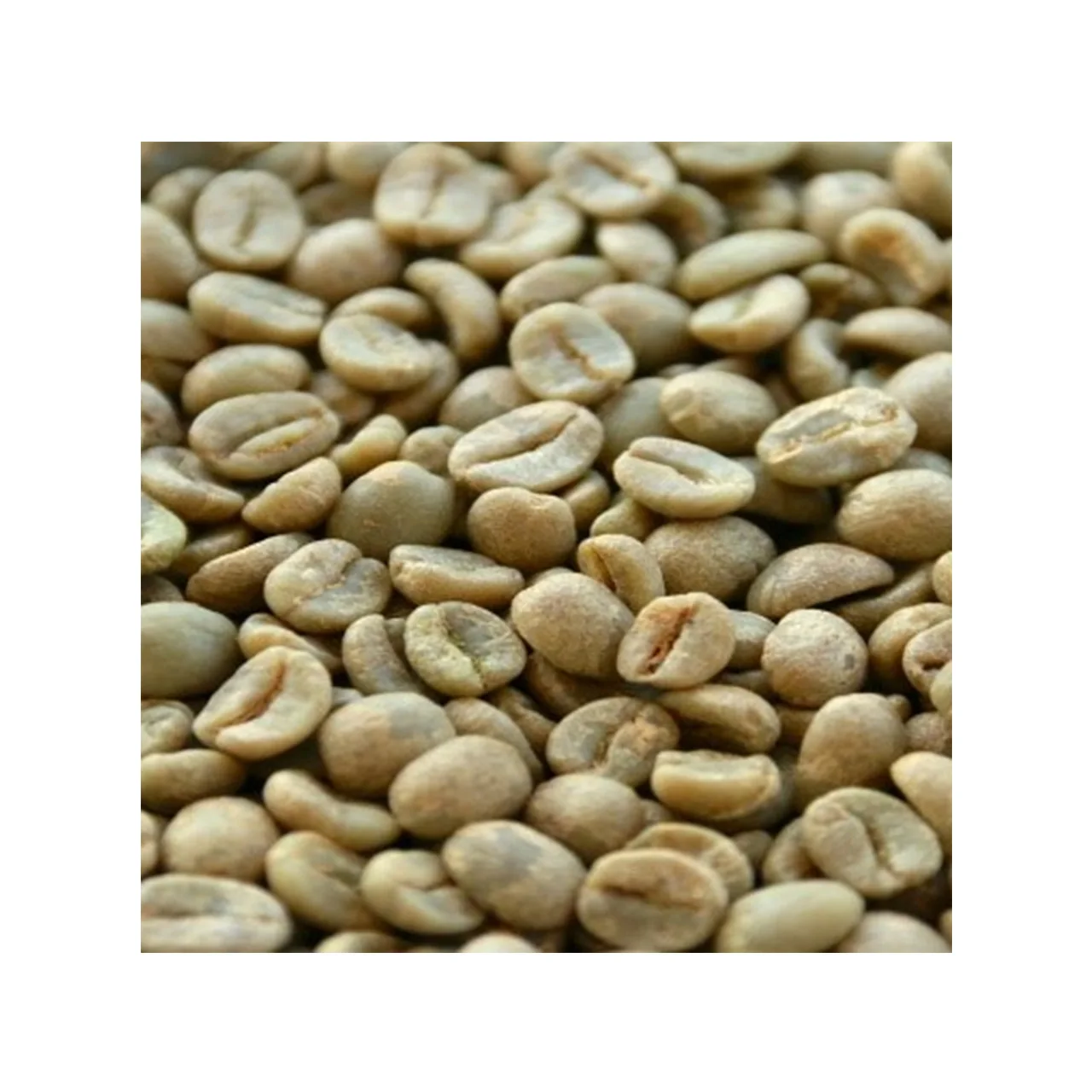 Горячая Распродажа! Зеленый кофе в зернах жареные местные кофейные зерна эспрессо зернистый