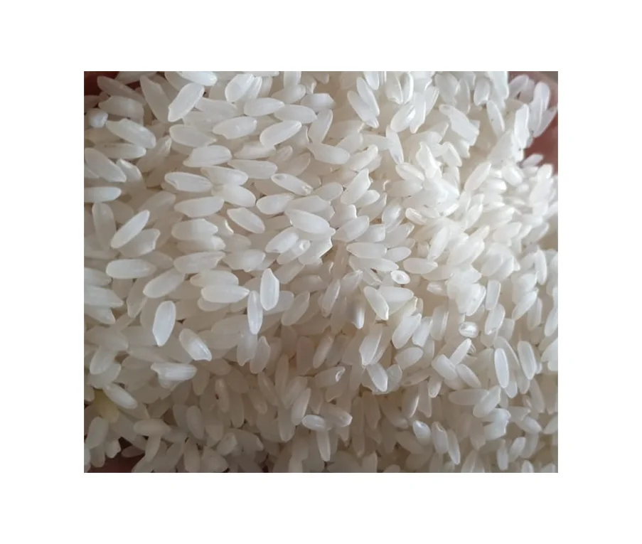 
Premium Quality Indian Swarna Raw Rice 