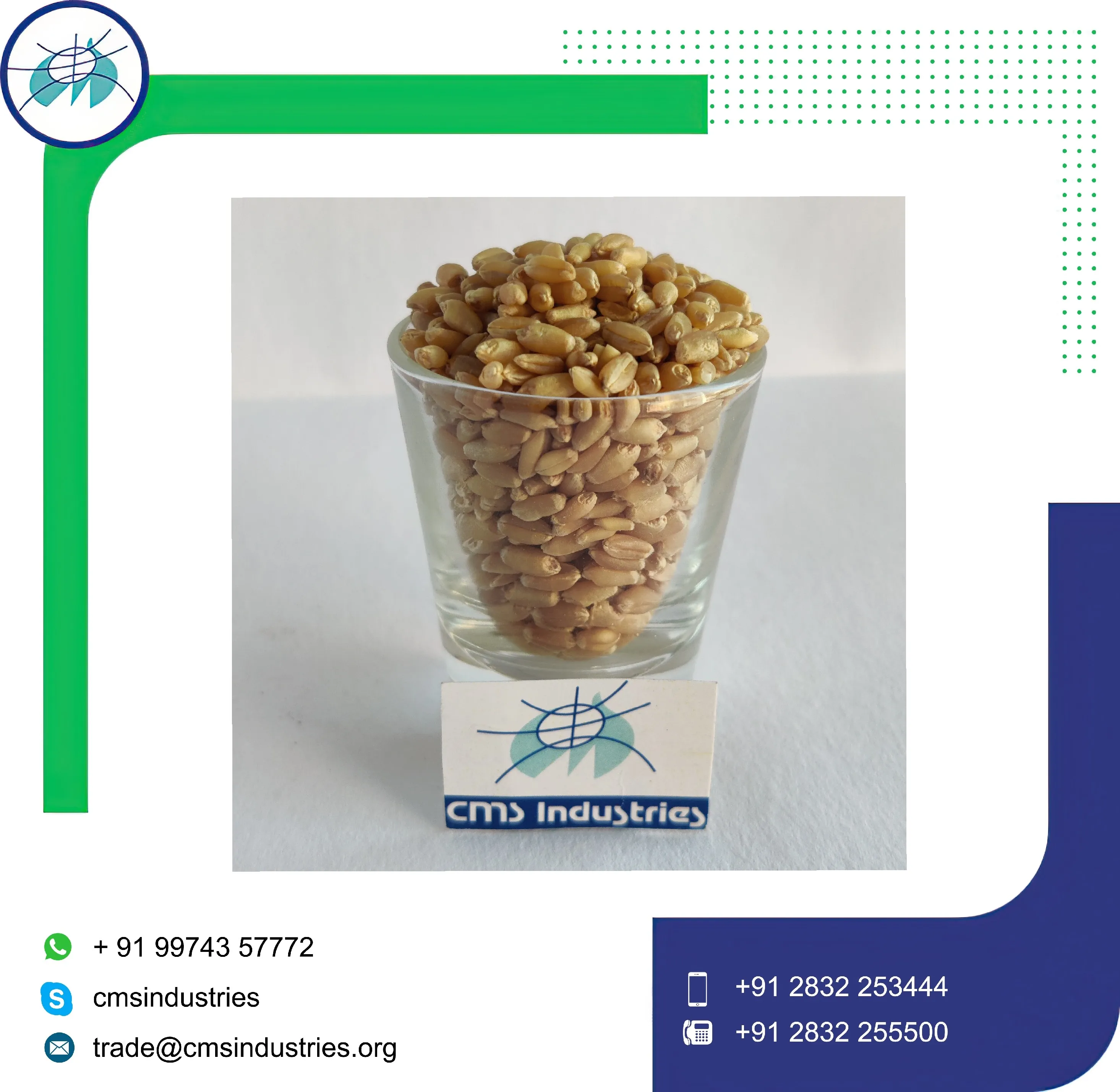 Превосходное качество пшеница Sharbati