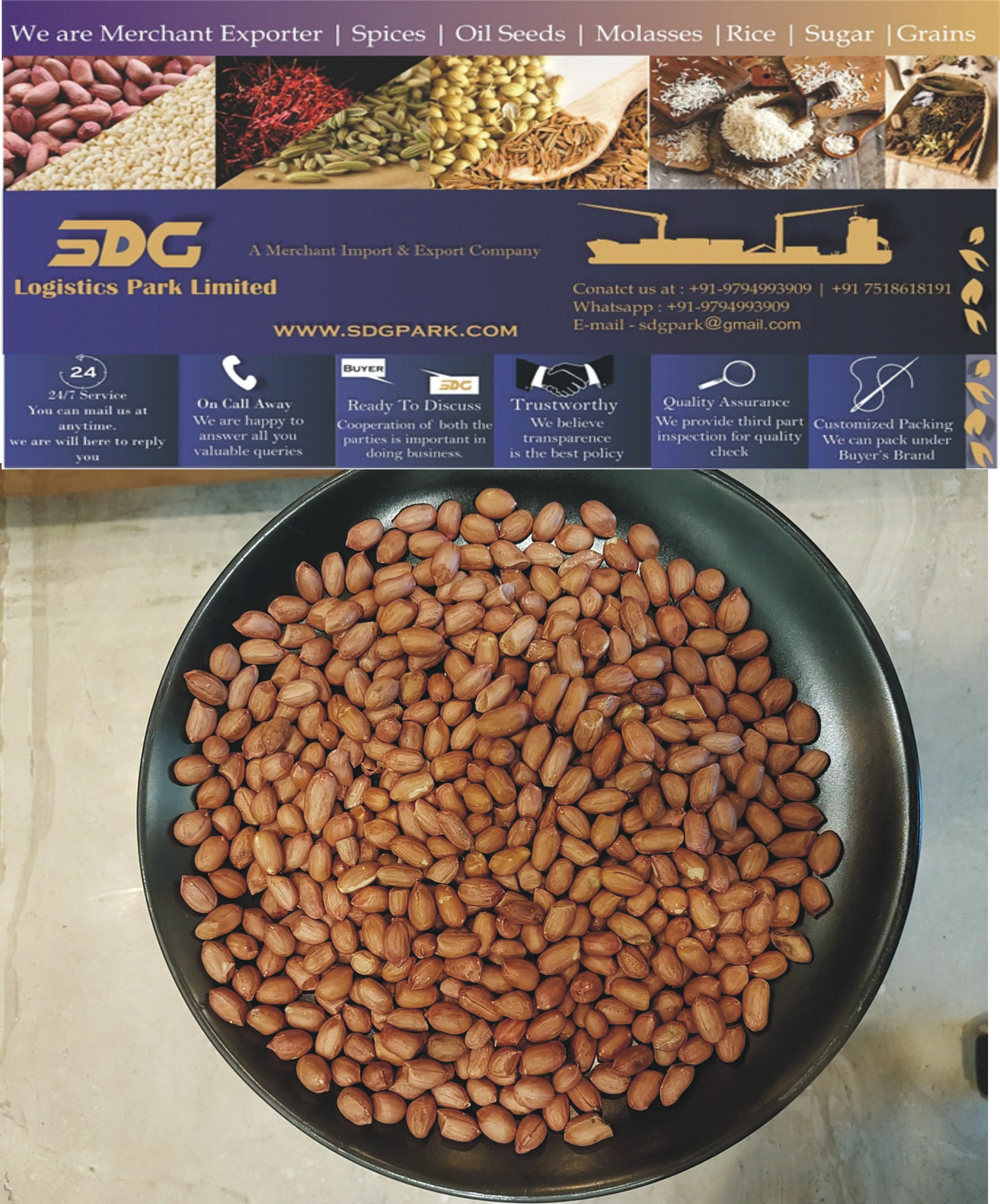 PREMIUM QUALITY BOLD PEANUTS FOR SALE GROUNDNUT 40/50 BOLD BEST PRICE COMMON CULTIVATION ORGANIC PEANUT