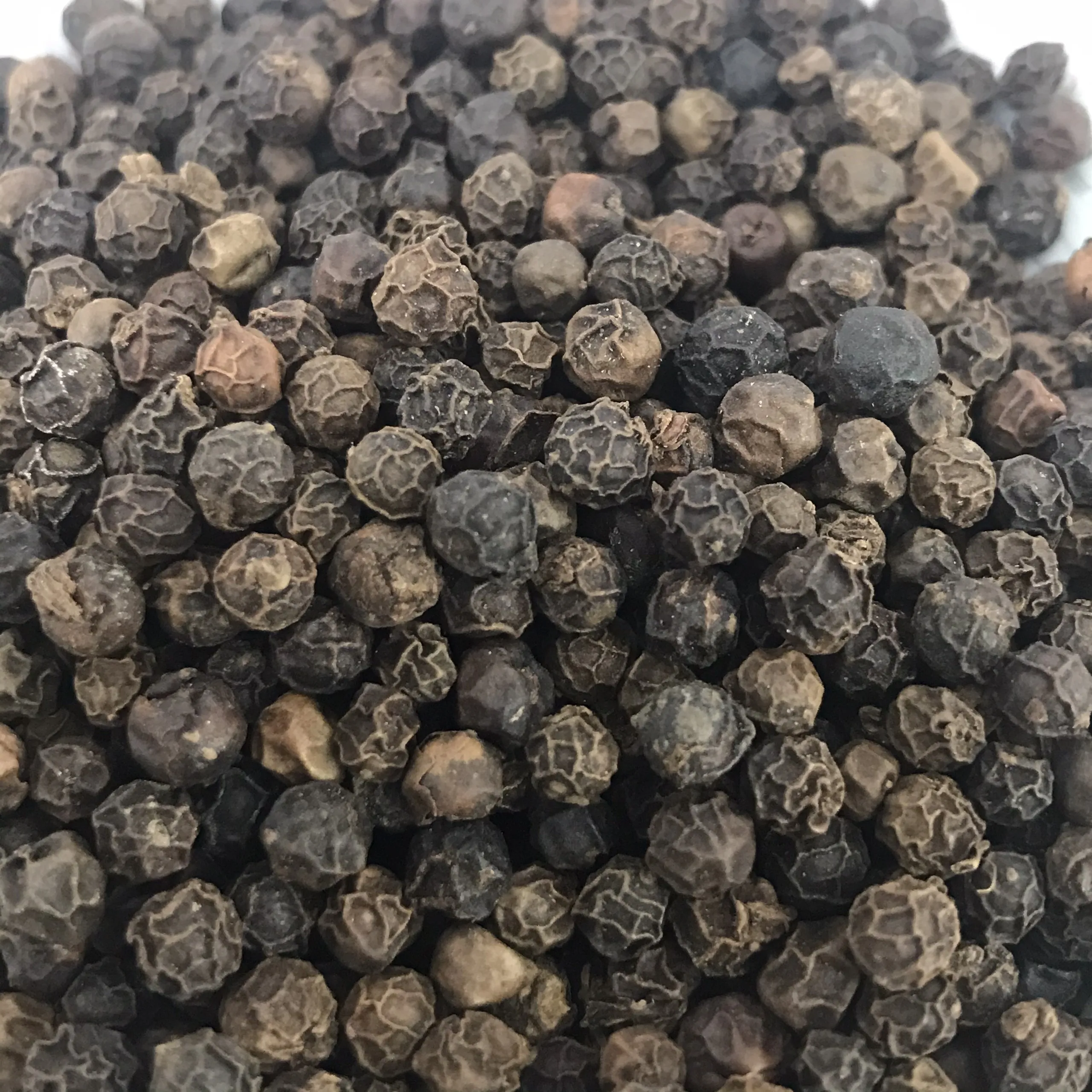 Vietnam Black pepper 550 ASTA Factory Direct Top Selling Pure Premium Quality Dried Black Pepper
