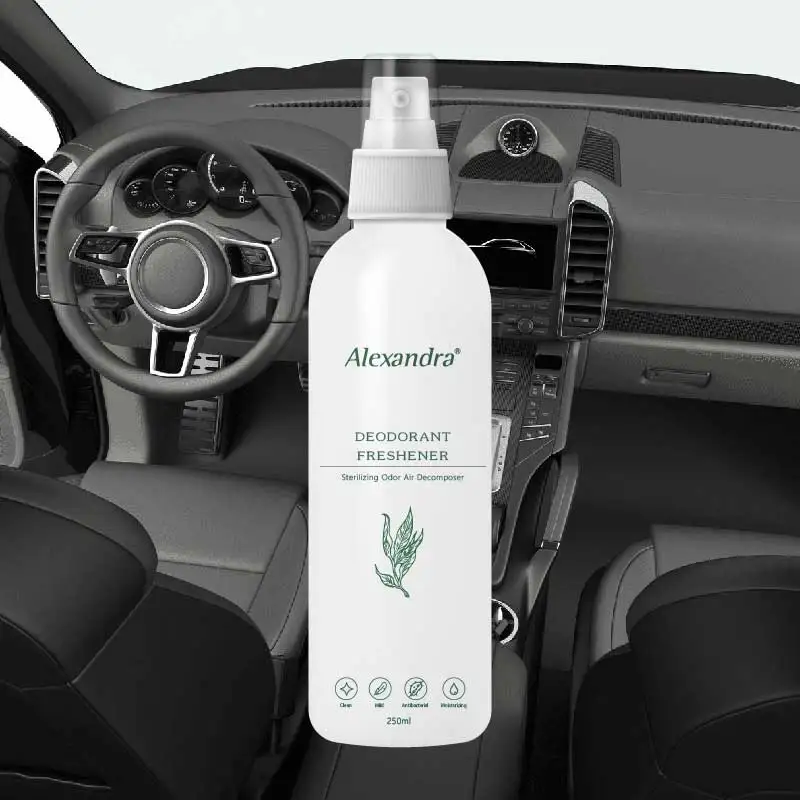 Best car air fresheners for 2022 Deodorant Spray foe car
