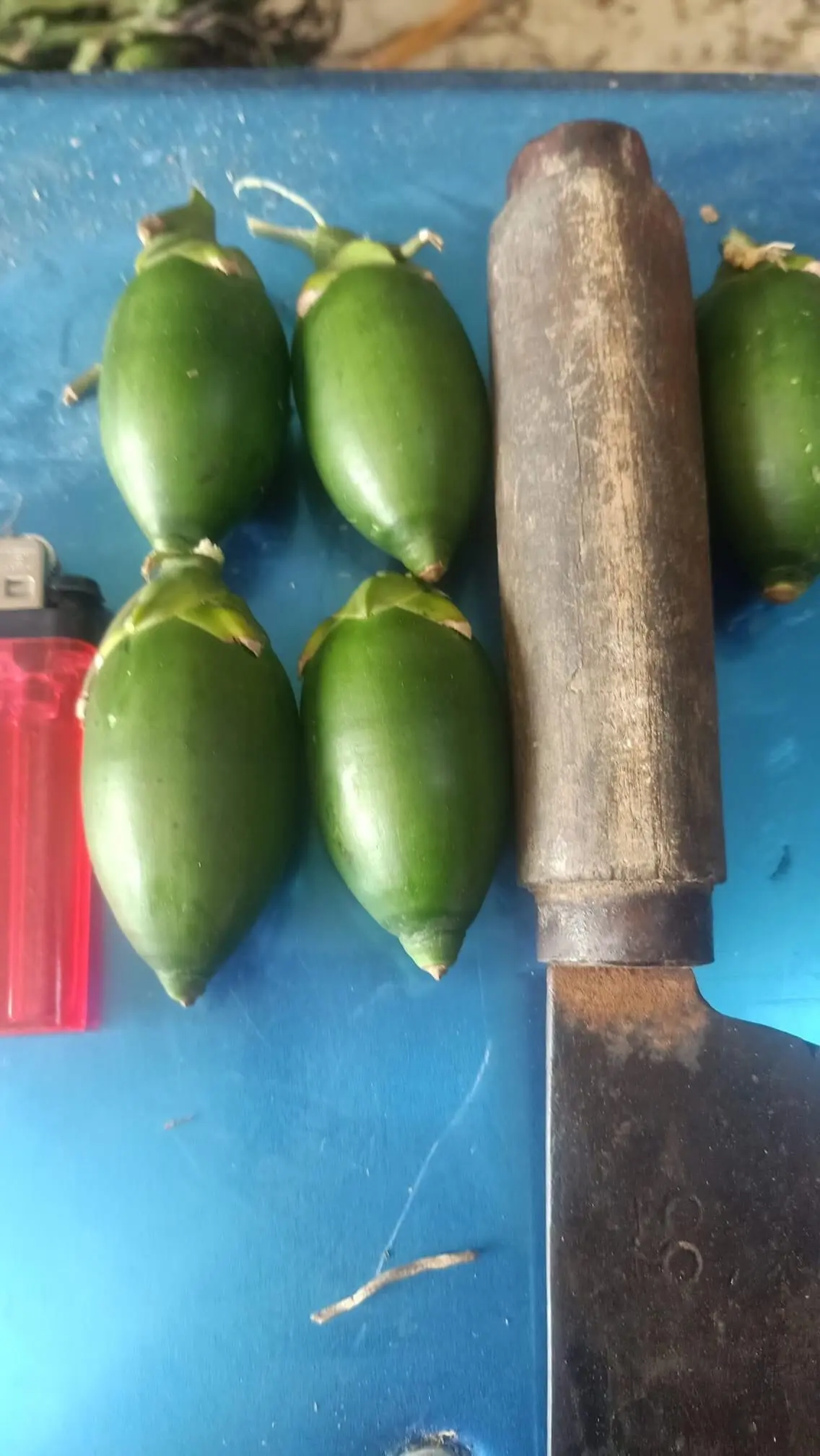 2021 High Quality Made In Vietnam Cheap Price Areca Nuts/ Areca Berries/ Betel Nuts - VI HUYNH +84 911 695 402