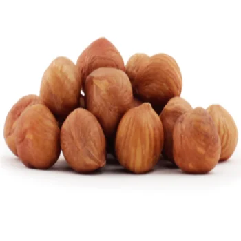 
Raw Hazelnut shelled Natural Best Price Wholesale From Turkey 