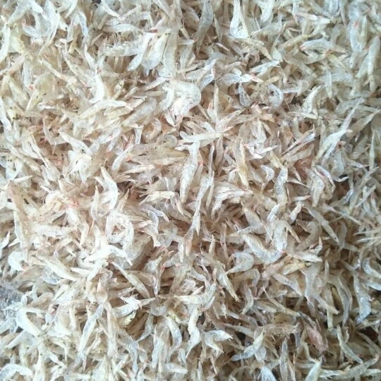 DRIED BABY SHRIMP FOR SALE - MR. KIEN +84909261077