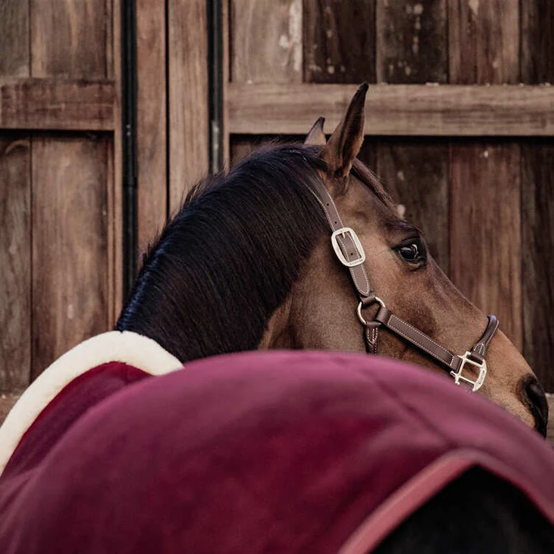 wholesale High quality Fly Rug Mesh Rug Horse Blanket Customized Standard Blanket Summer Horse Rug