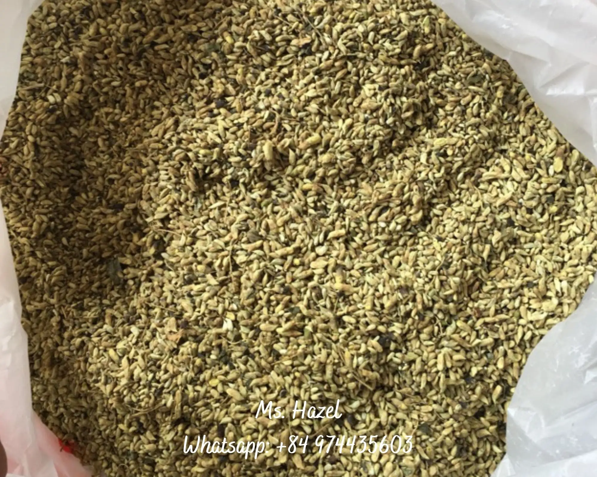 Вьетнамская сушеная Софора японская экспортная стандартная/сушеная цветы/мистер Лео + 84 965 467 267
