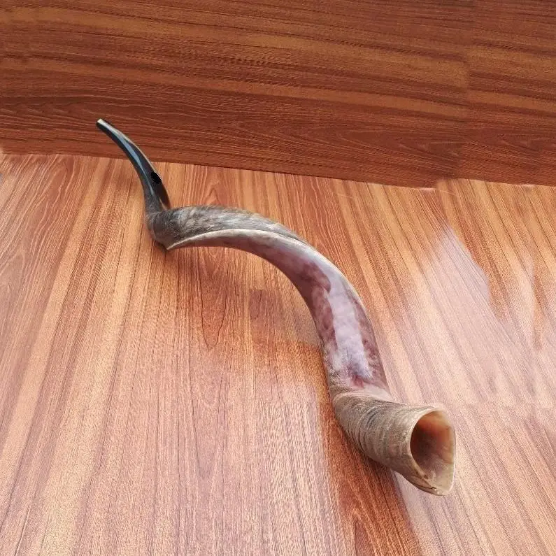
Long Shofar , Goat horn ,cow horn ,kudu horn ,gemsbok horn, ram horn ready for sale 