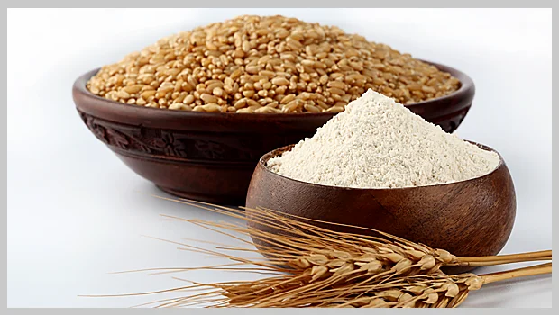 wheat flour manufacturing companies in india