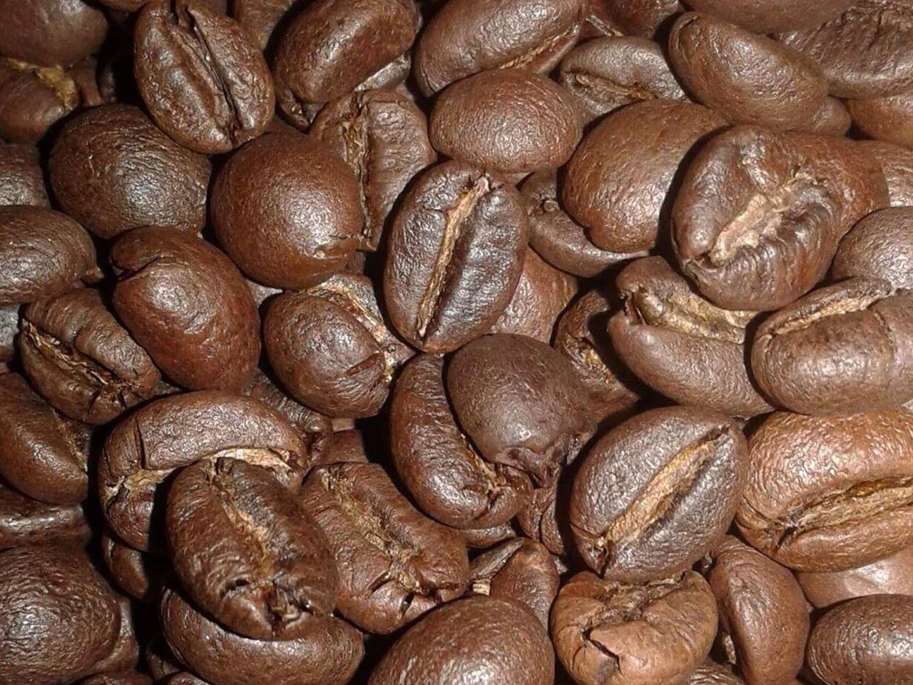 
Robusta Honey S16 The Fermentation Slows Down And Becomes Sticky Like Honey As The Beans Dry To The Standard Moisture 