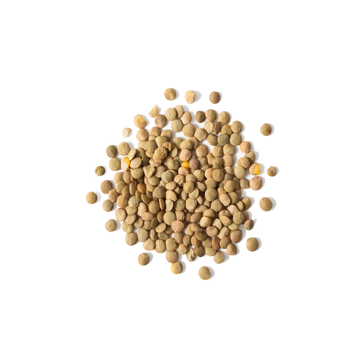 Quality dried lentils natural food, food wholesale