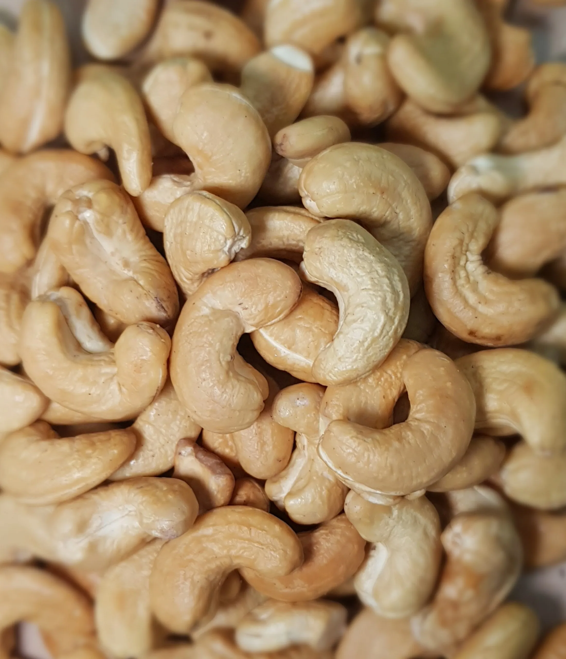 Roasted cashew nut w320 Vietnam cashew nut kernel salted cashew nut HACCP, ISO 22000:2018