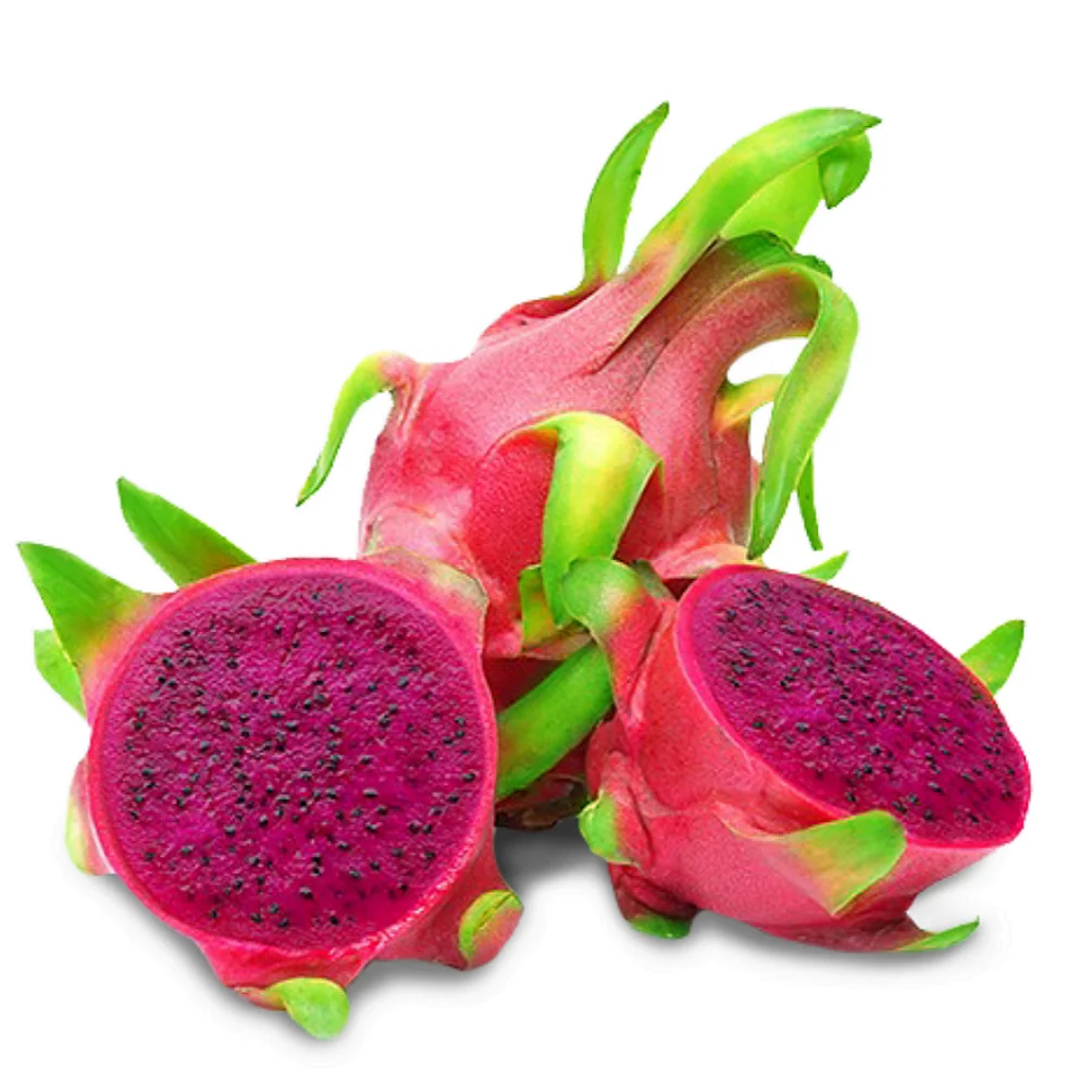 Fresh dragon fruits supplier package carton 10kg-15kg