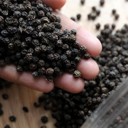 Pepper 2022 from Vietnam Pepper Black Spicy Single Herbs & Spices Dried Raw Allspice 5000 Kg Round with 2-3 Year Shelf Life