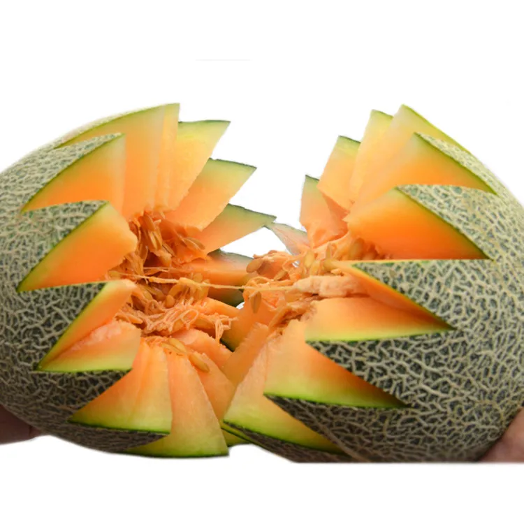 
Excellent quality Bulk Hot Sale Peeled Melon Seeds 
