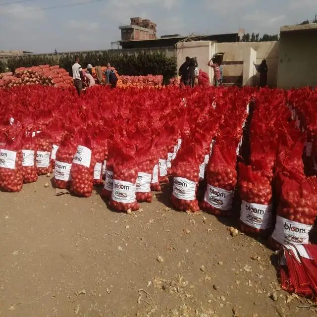 Fresh Style and Liliaceous Vegetables Product Type Red White