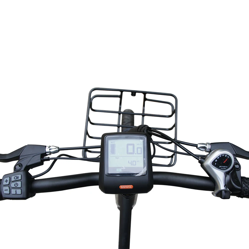 20 inch food delivery 2 wheels electric cargo city bike