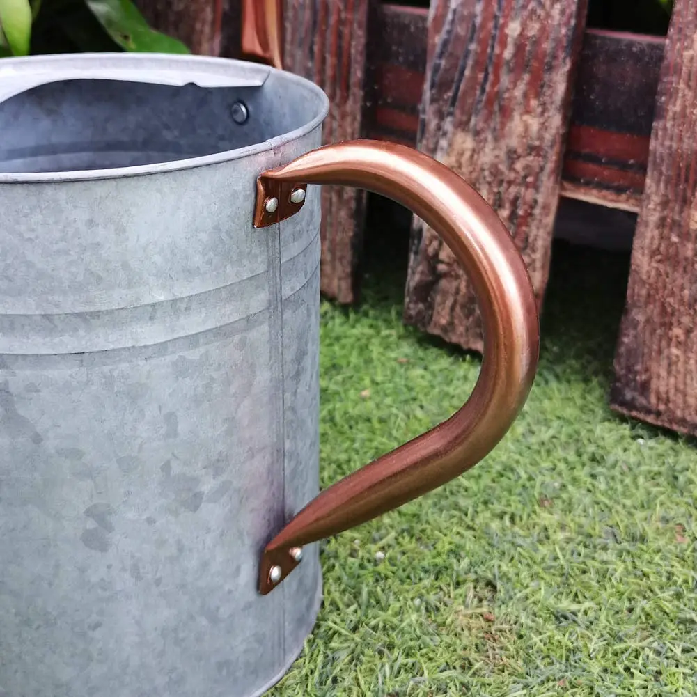 Металлические лейки 1 галлон для наружного и внутреннего растения декоративные в фермерском стиле винтажная оцинкованная сталь Лейка