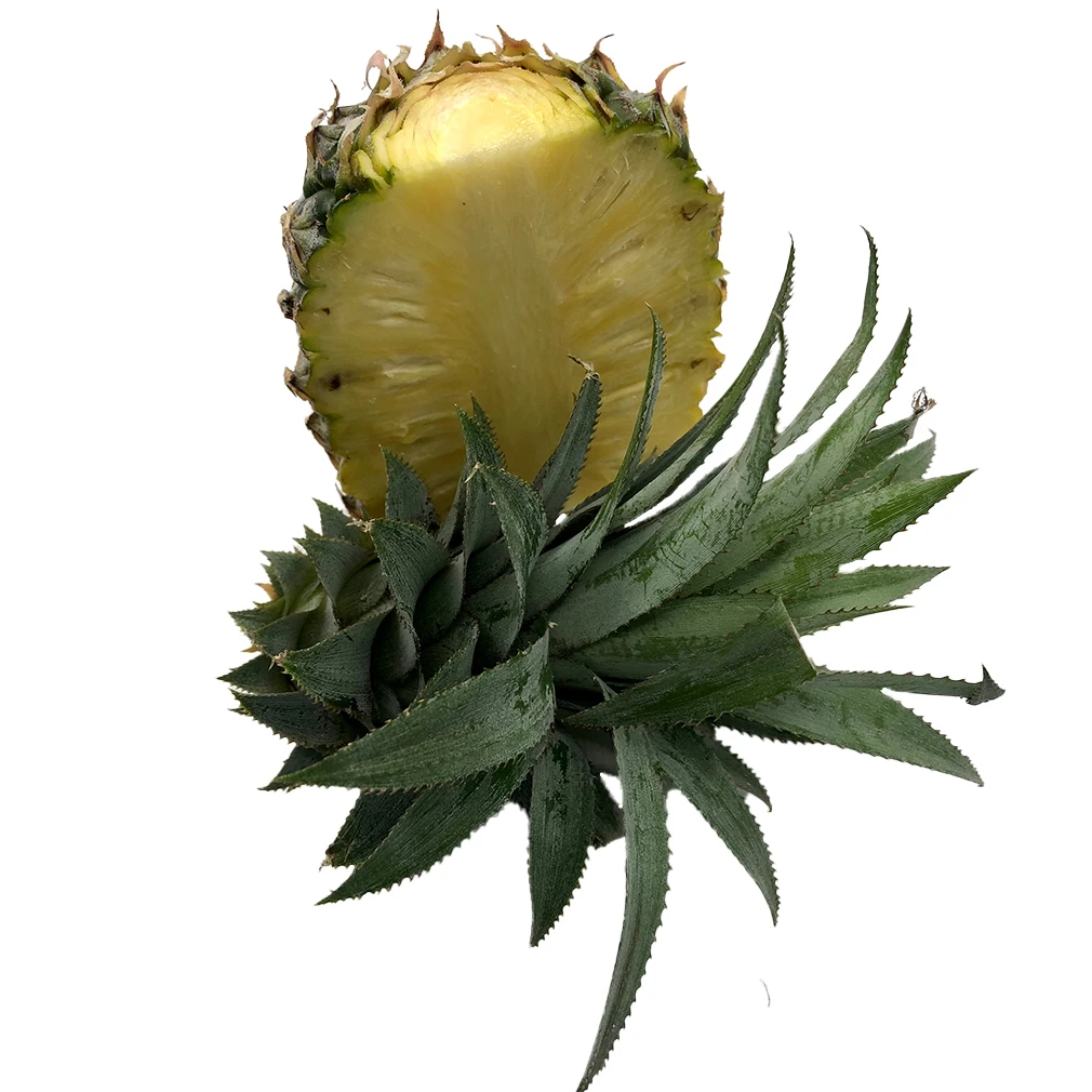 High quality yellows Pineapple Fruit Top grade Box packing 80 percent Maturity  from Thailand