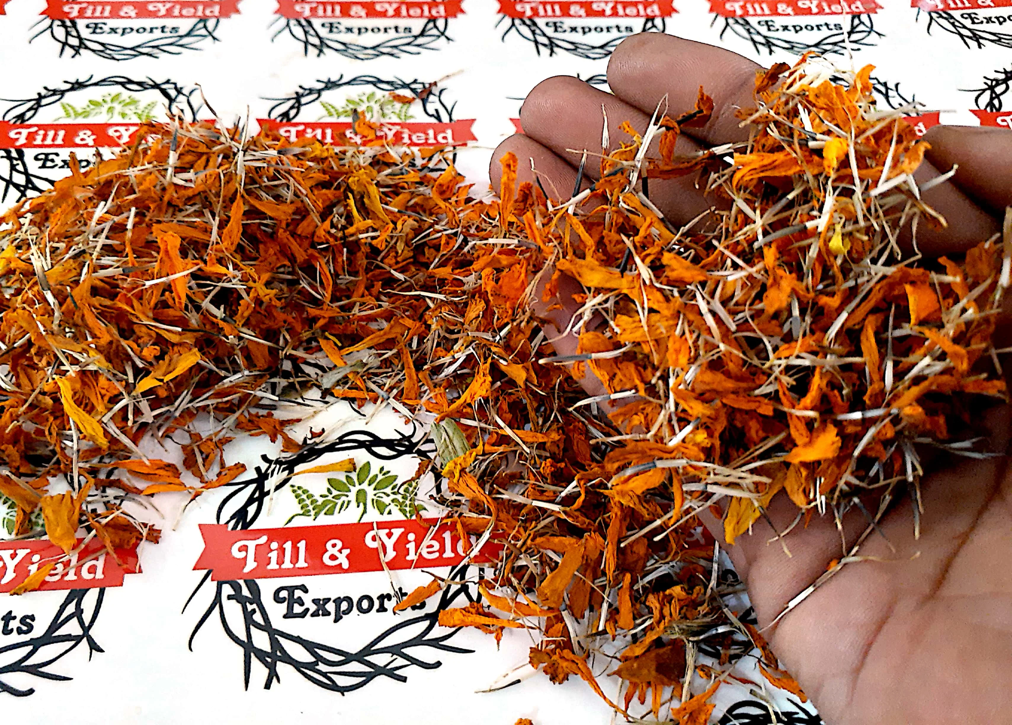 Marigold - Tagetes Tea  It Alleviates Cramps And Aids Digestion May Promote Skin Health  Immune-Boosting Formula