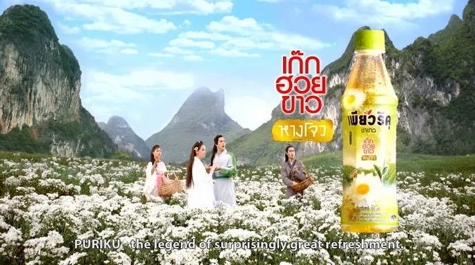 Puriku White Chrysanthemum with White Tea Best Seller of Thailand