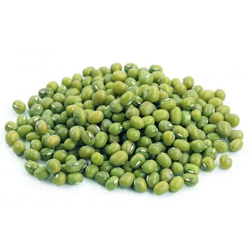 Good price - Quality Green Mung Beans / Gram /Moong Dal Vigna