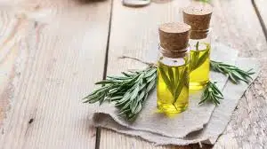 Rosemary extract Oil3.JPG