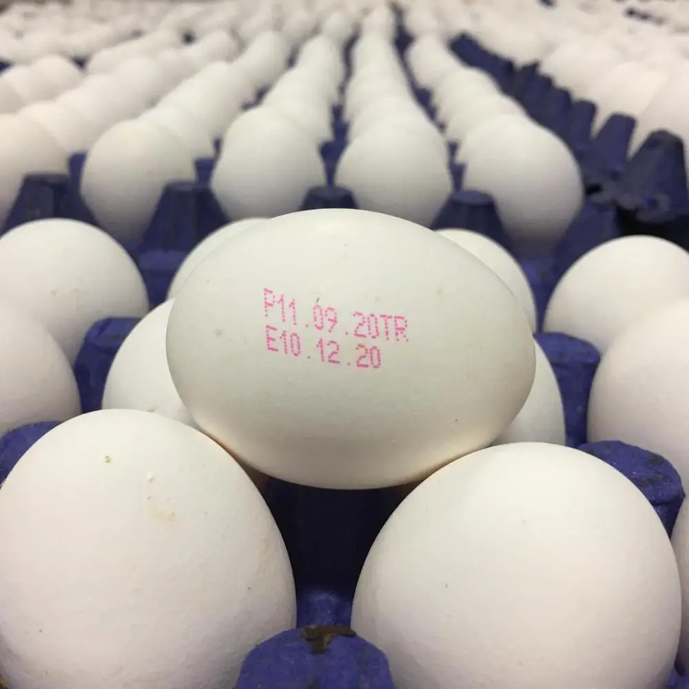 Buy fresh table egg from Ukraine