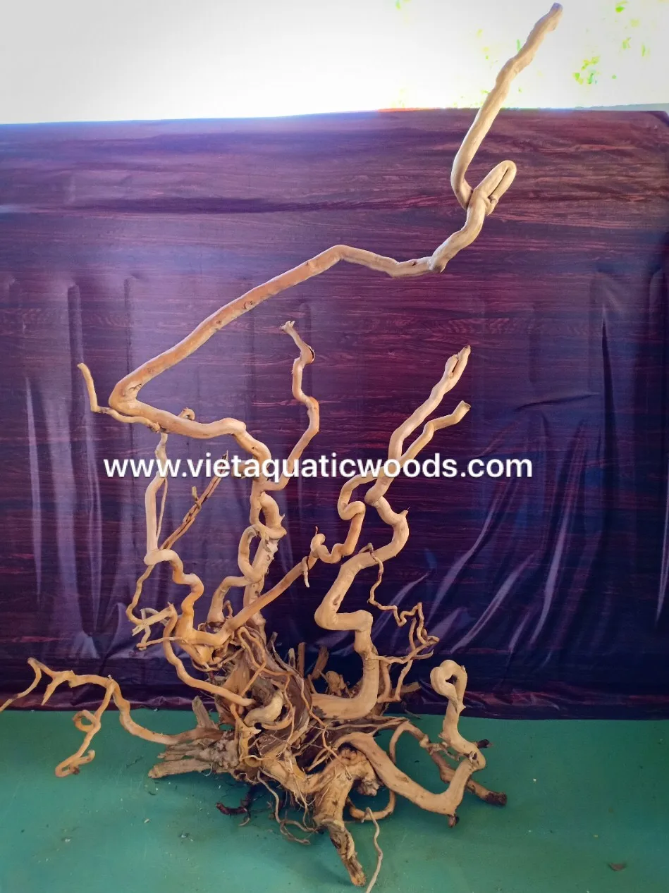 Лидер продаж 2024 коряги мангровые аквариумы натуральные для аквариума аксессуары украшения 2023 WhatsApp + 84 963949178