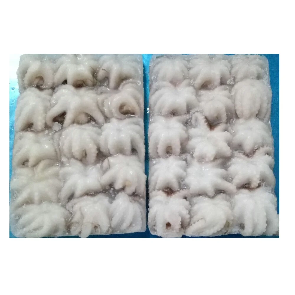 
Frozen Whole Piece With Shelf Life 12 Months In Layer Freezing Bag And Box Packaging Fozen Octopus 