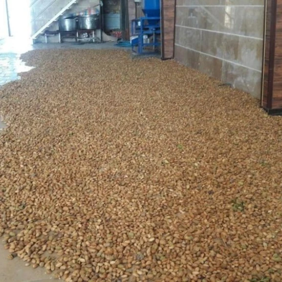 Best Grade Raw Almonds Nuts