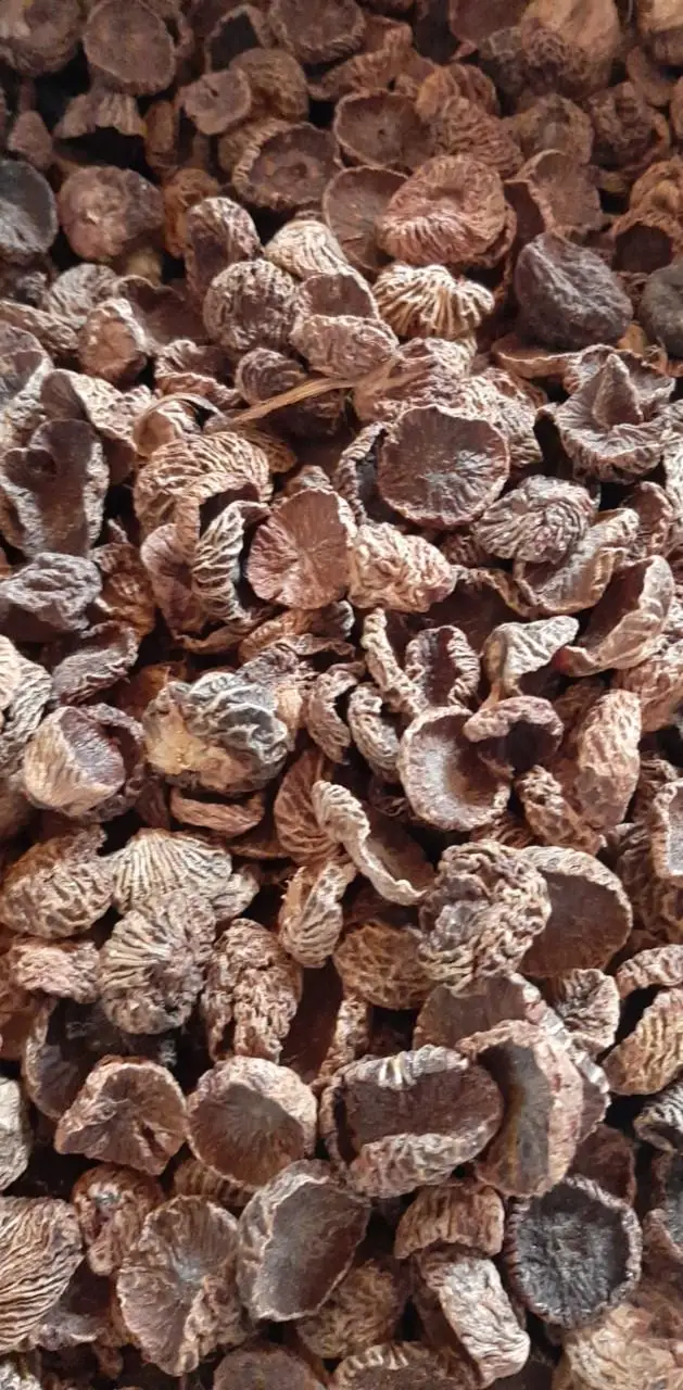 Орехи цельной формы-зеленая гайка ARECA-разделенная BETEL