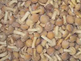Best Quality Frozen Nameko mushroom At Company Price