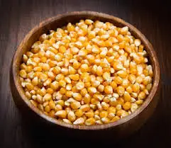 100% Organic Broken Yellow Maize Rich in High Quality Organic dried yellow corn from India