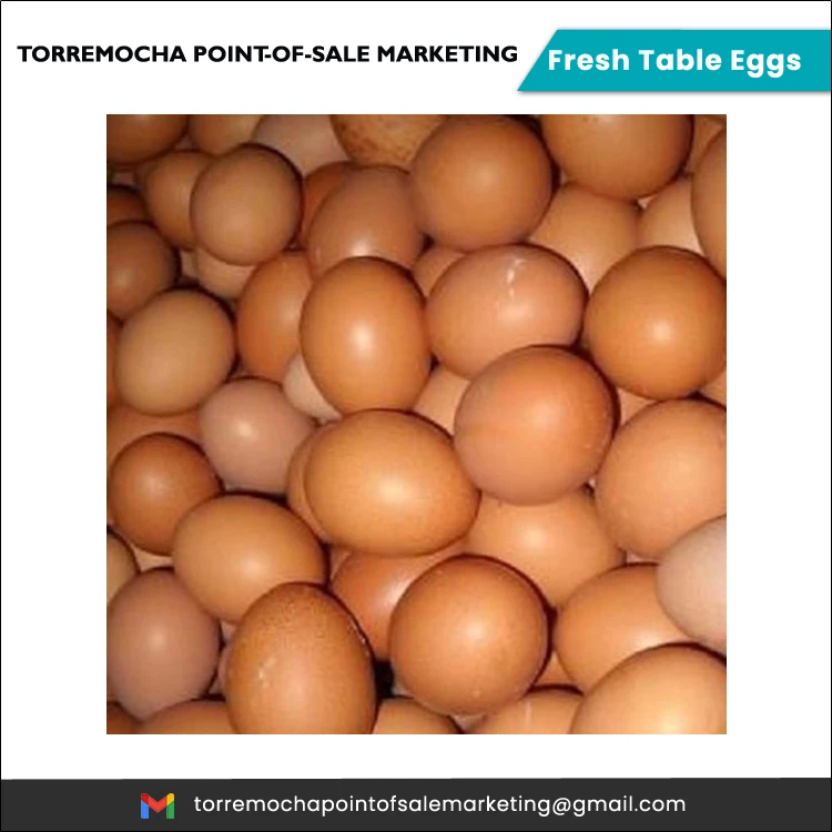 Wholesale Price Best Selling Superior Quality Huge Sale on Fresh Table Eggs from Reputed Supplier