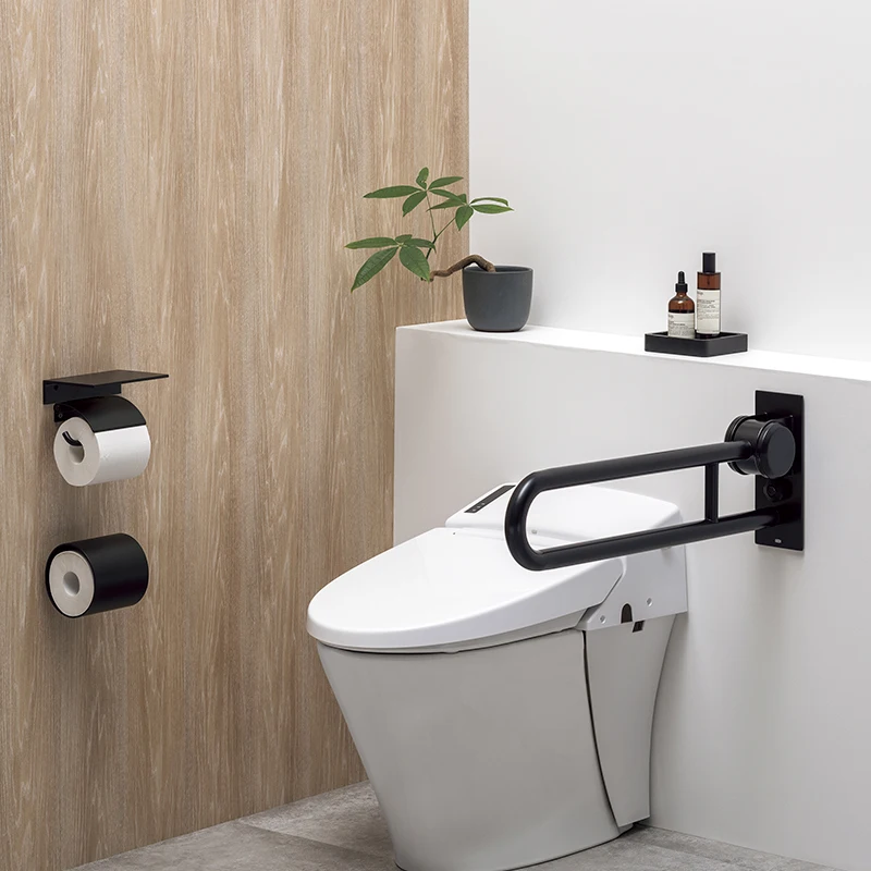 Removable Flip Up Handicap Grab Bar Matte Black