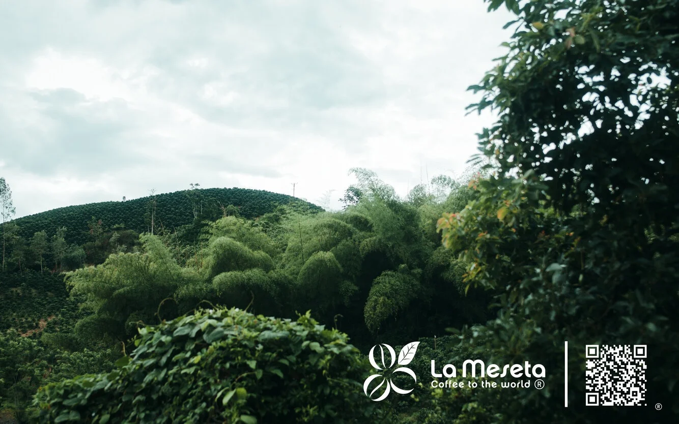 Органические колумбийские кофейные зерна