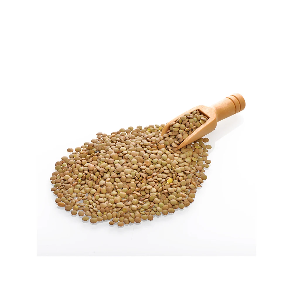 wholesale new crop good sale green lentil with best price export for food good taste