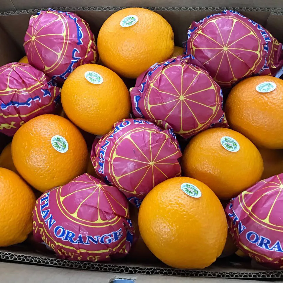 EGYPTIAN ORANGE HIGH QUALITY