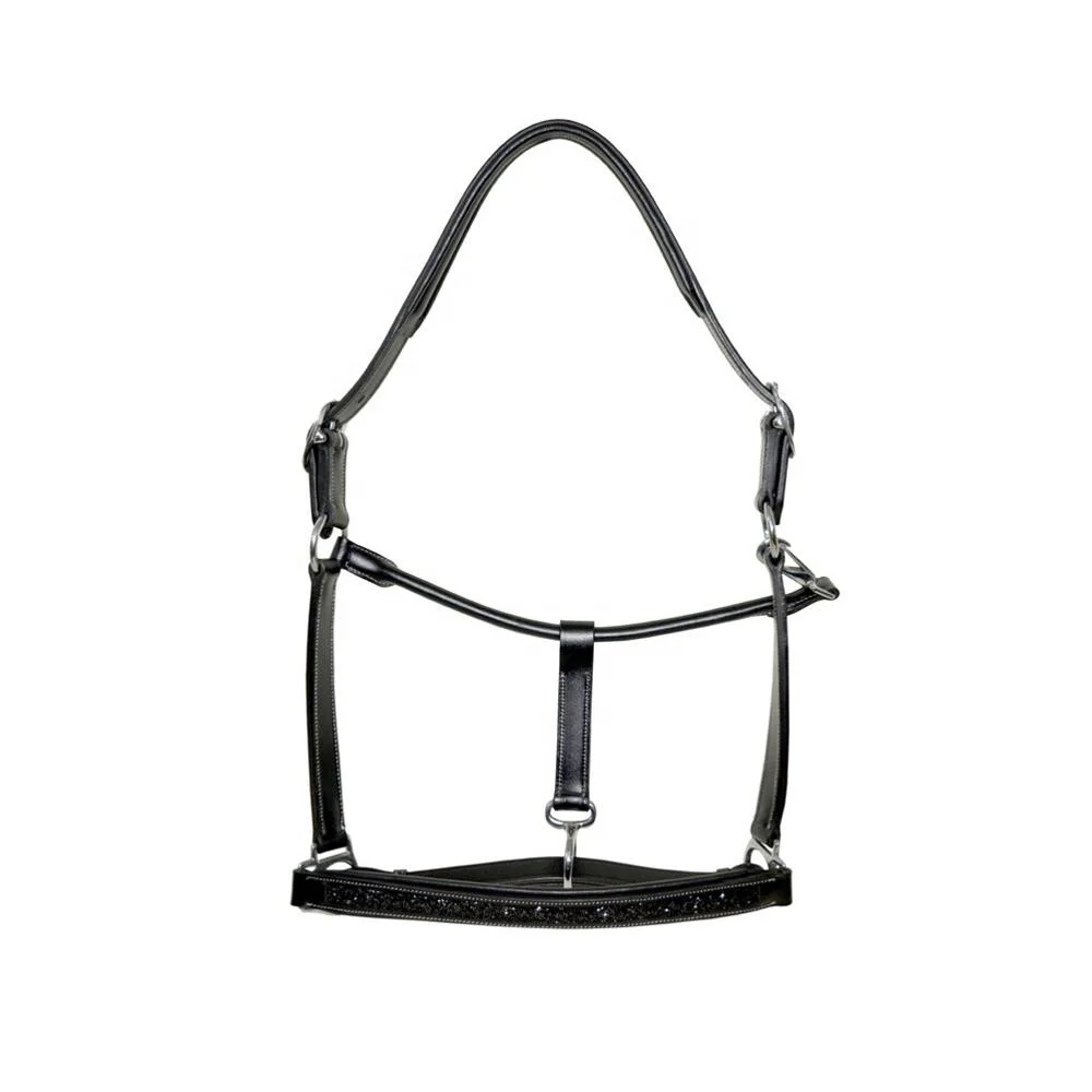 Premium DD Leather Horse Riding Halter Manufacturers
