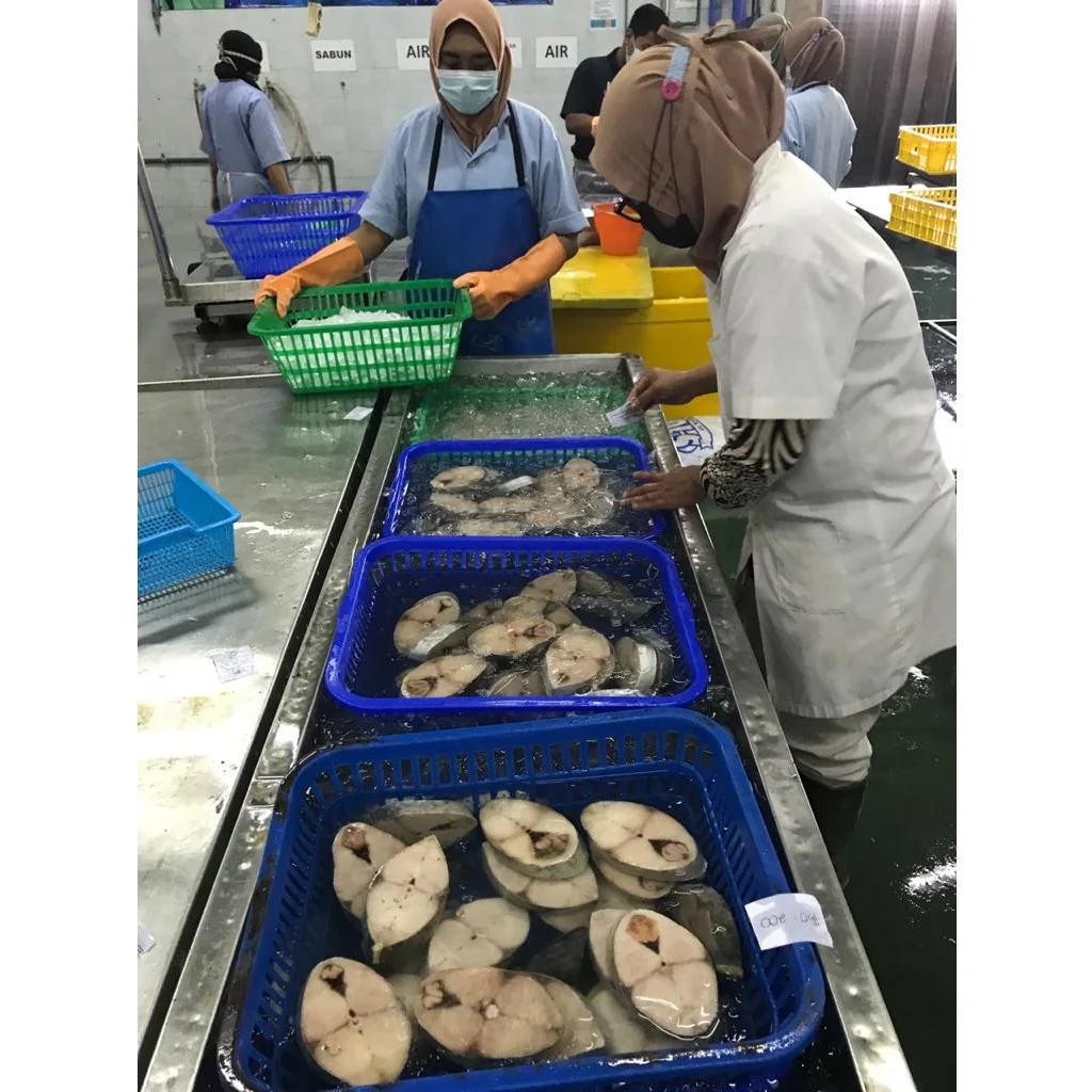 Premium Quality (100-120 gm/pc) 2 kg Plain Bag With Label Frozen Spanish Mackerel Steak Cut 10 kg/ctn