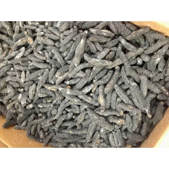 Premium Quality Dried Wild Sea Cucumber For Cheaper rates..