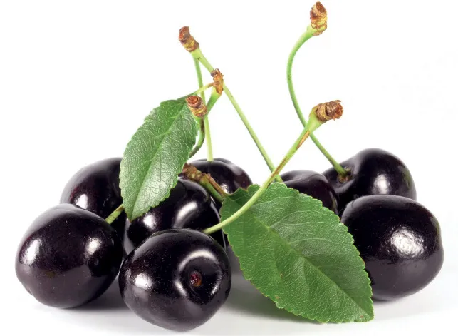 Italian Traditional Shortcrust Pastry with Cherry - Custom Ingredients Possibility - Handmade Cake very Soft