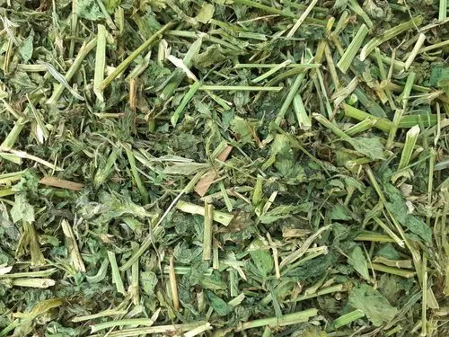 Wholesale Best Quality alfalfa hay cattle feed For Sale In Cheap Price
