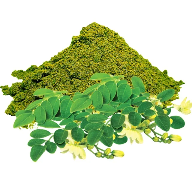 100% Pure Natural Indian Medicinal Herbs Moringa Powder Leaf