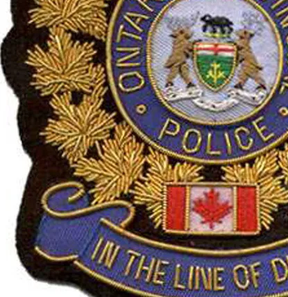 Ontario Blazer Badge Patch Tactical Hand Embroidery Fabric Brass Name Badge Uniform Decoration Custom OEM Pin Back Badges Cheap