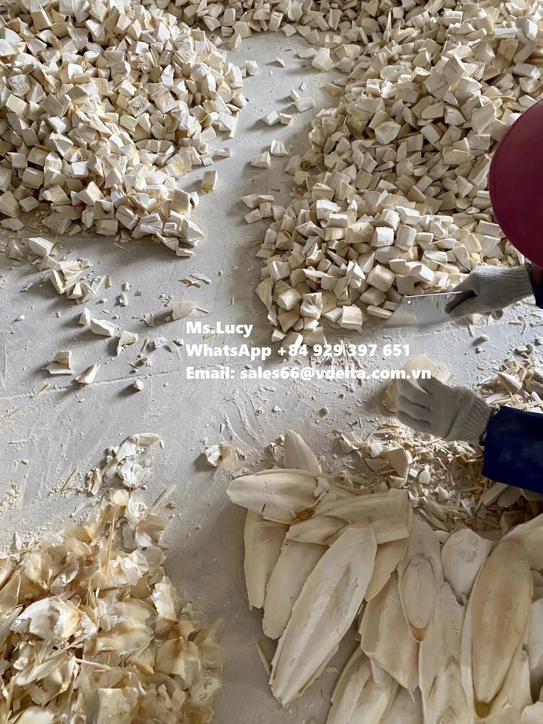 Wholesale Dried Cuttlefish Bone/ Natural Dried Sepia Powder/ Crushed Cuttlefish Bone Ms.Lucy +84 929 397 651