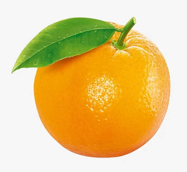 Fresh Valencia Orange | Organic Product | Egyptian Origin
